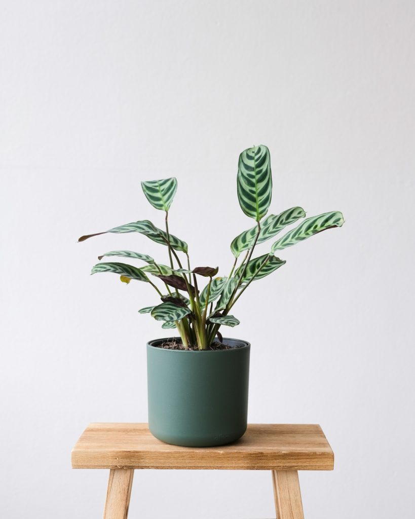 feey 2X9PfLKSuh4 unsplash