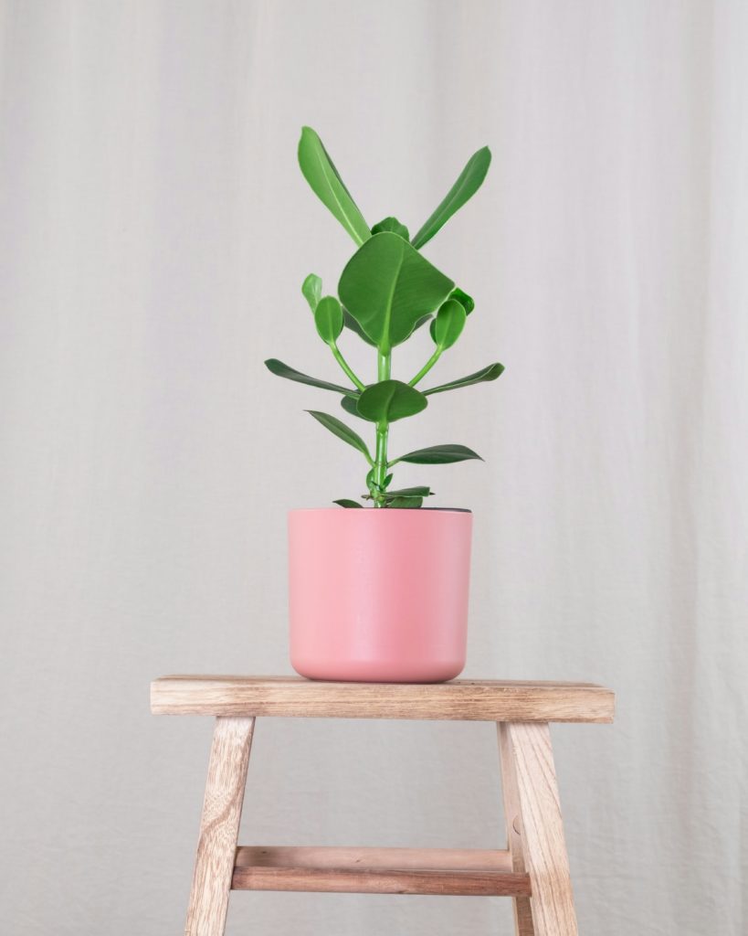 feey c8mA36EnKhI unsplash