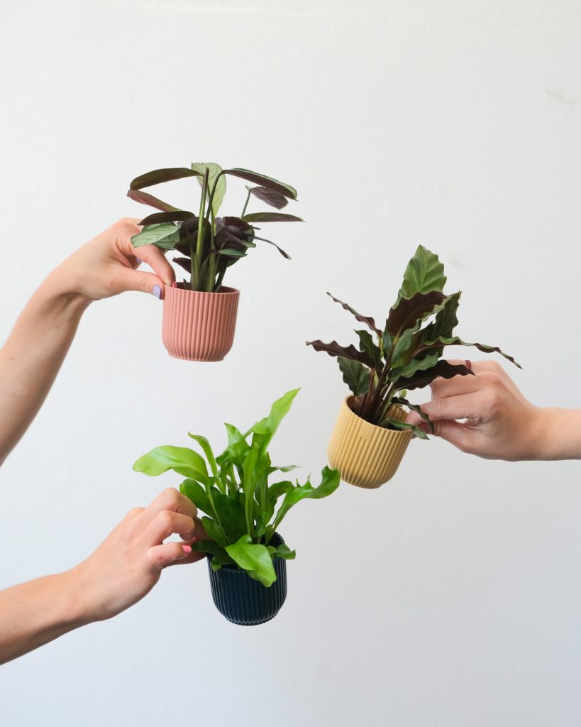 feey 39qWKQaA8xM unsplash