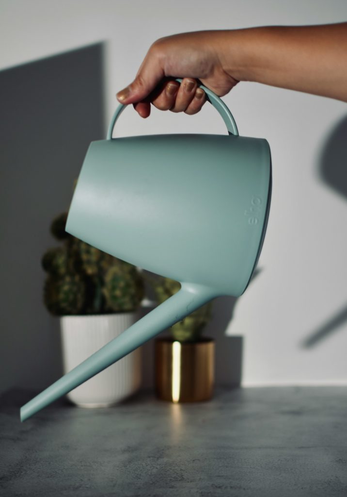 hitomi bremmer WrR6KiGA3bo unsplash