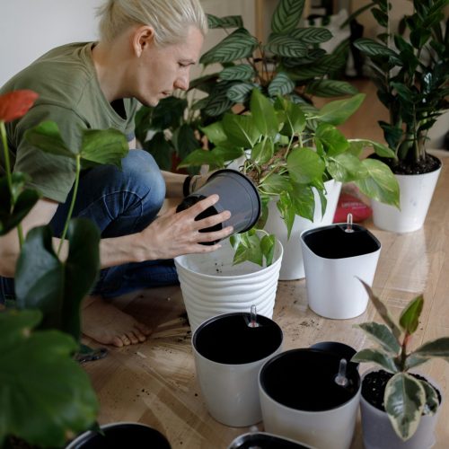 vadim kaipov tZE2tTDQ6Zo unsplash